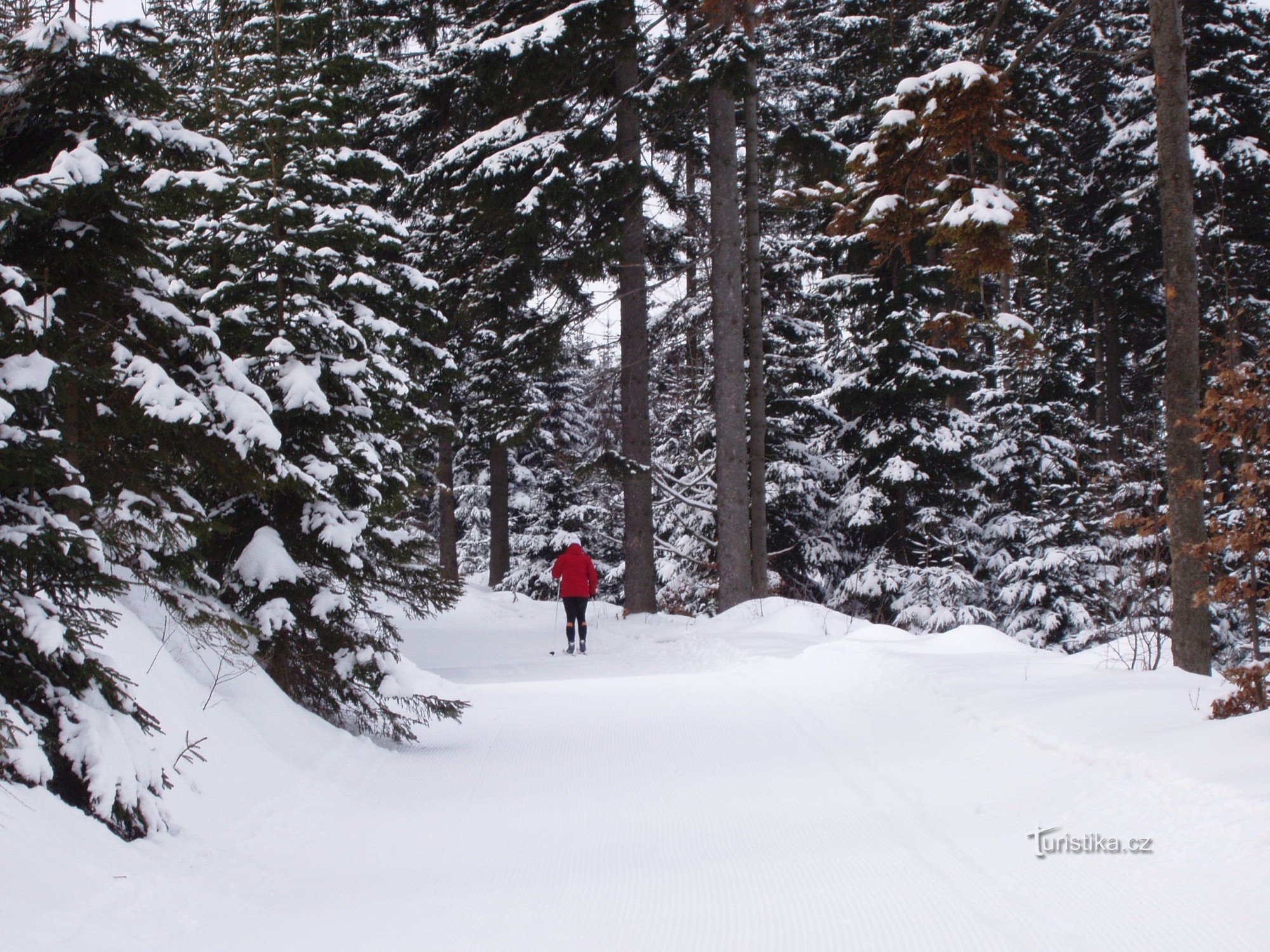 Na skijama za trčanje do SKIJIŠTA PŘÉMYSLOV