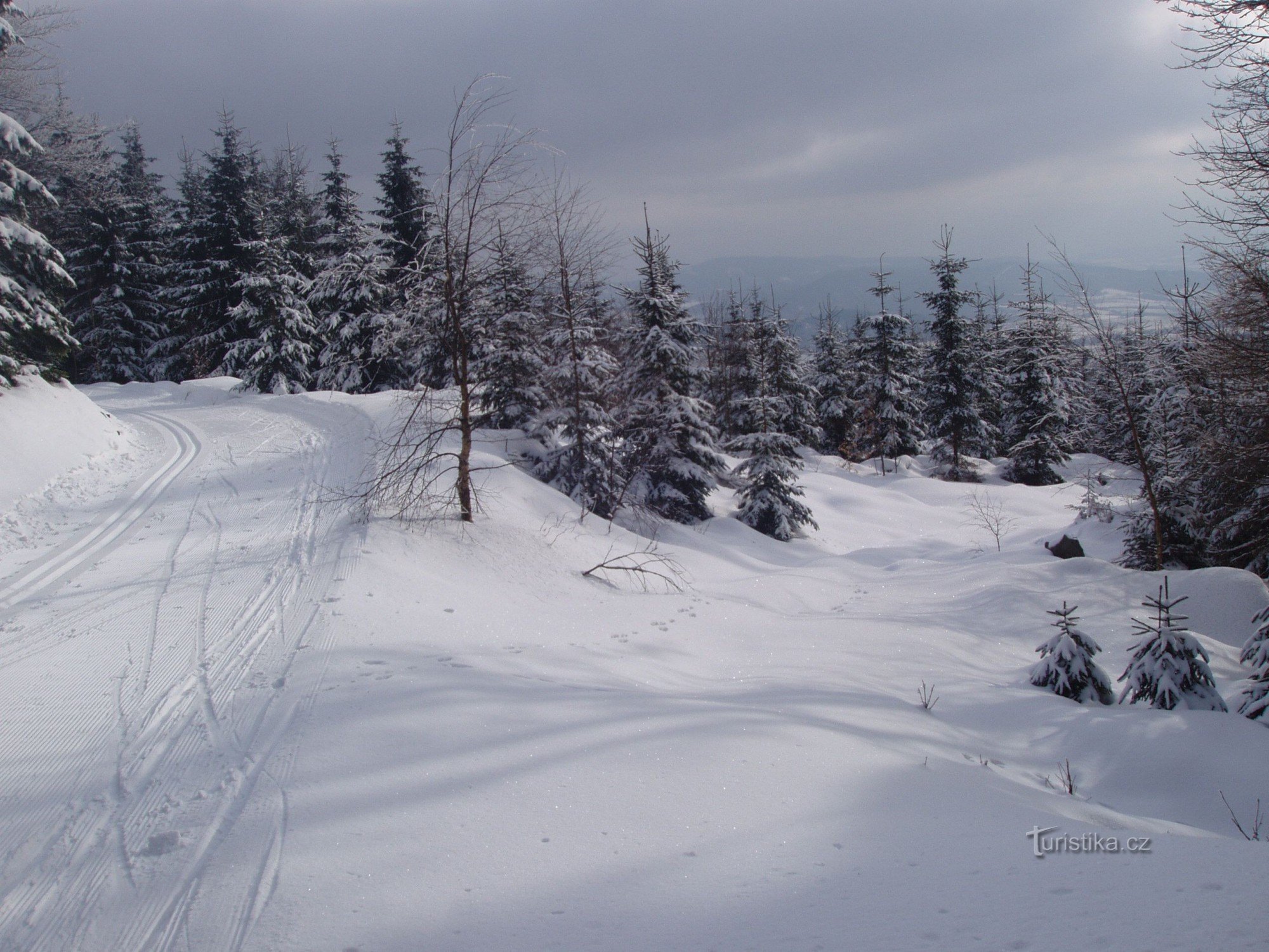在越野滑雪上前往 PŘÉMYSLOV 滑雪区