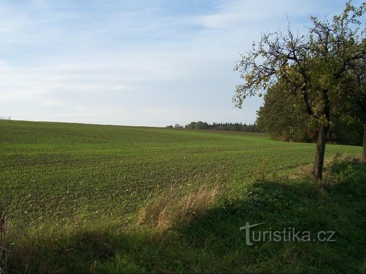 Na Břehá : vue sur la colline