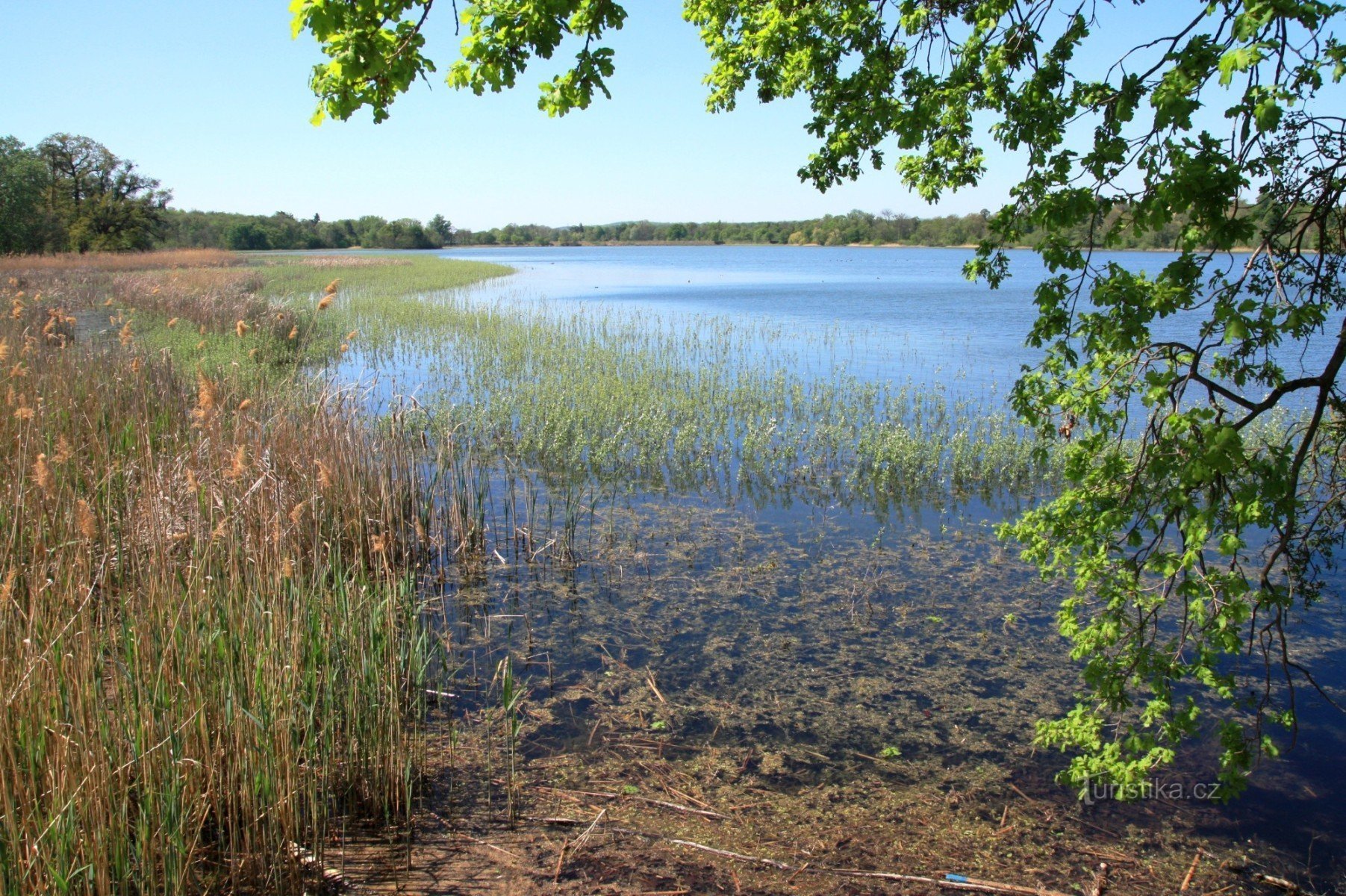 På stranden av Prostřední rybník