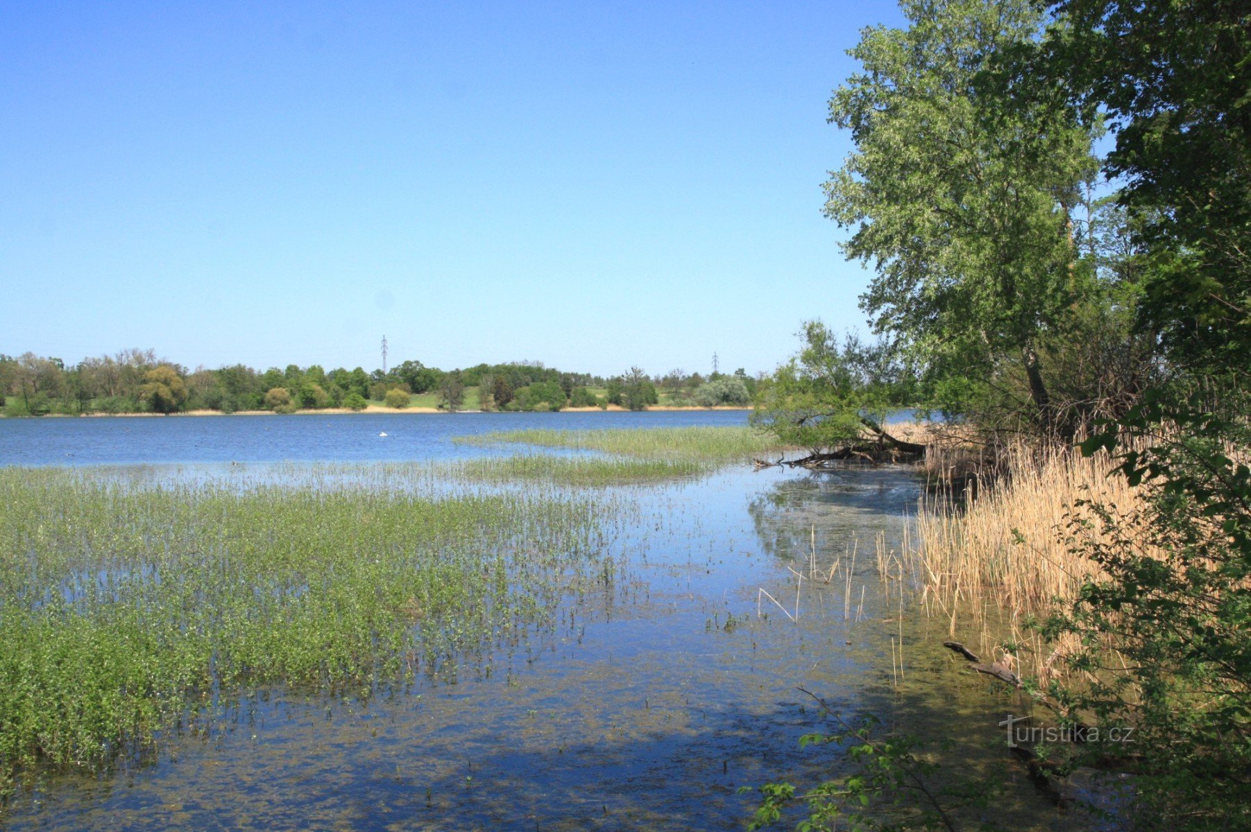 На березі Prostřední rybník