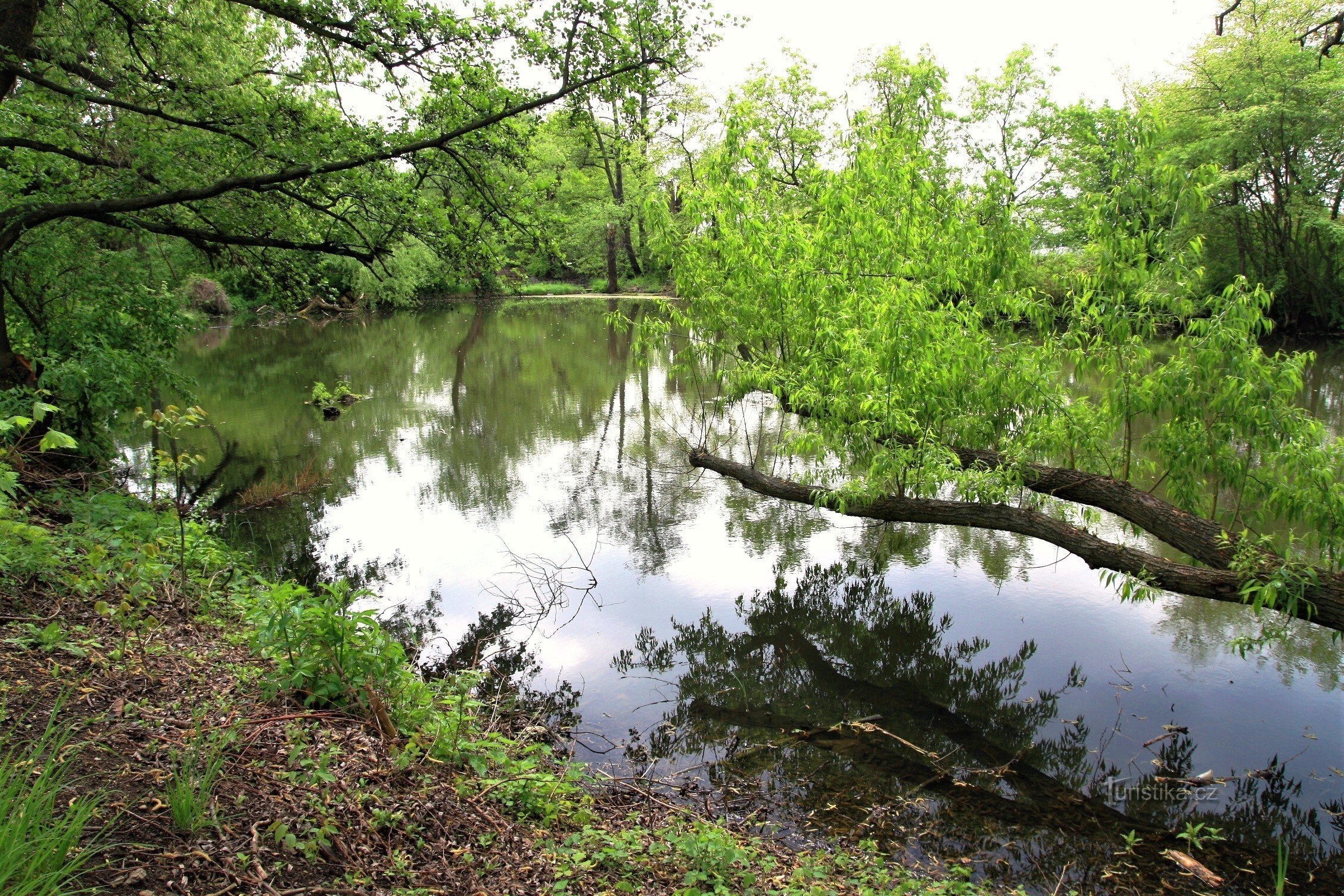 Am Ufer der Roučkova jezera in Holásky