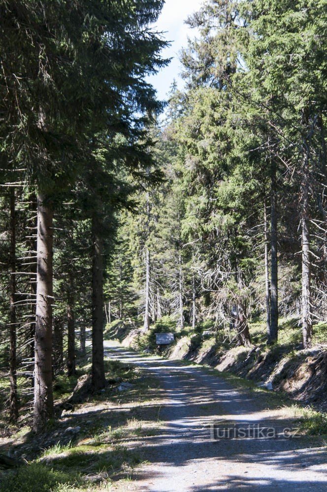 Στο δρόμο από την Alfredka προς το Skrítek