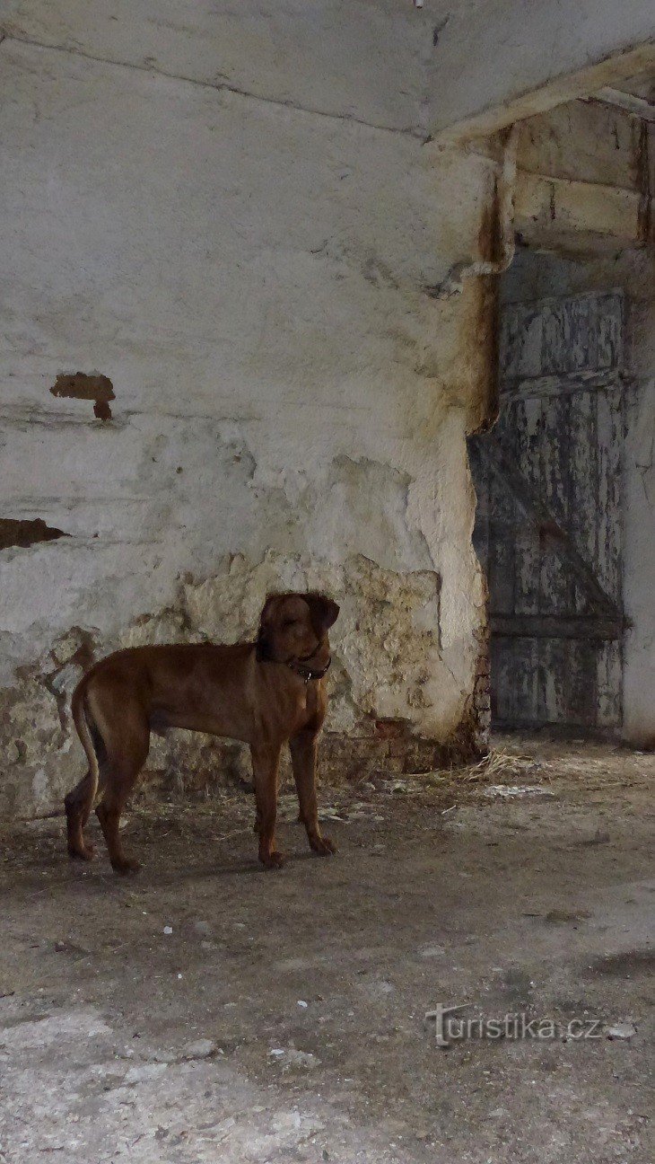 ci siamo fermati un attimo a guardarci un po' intorno