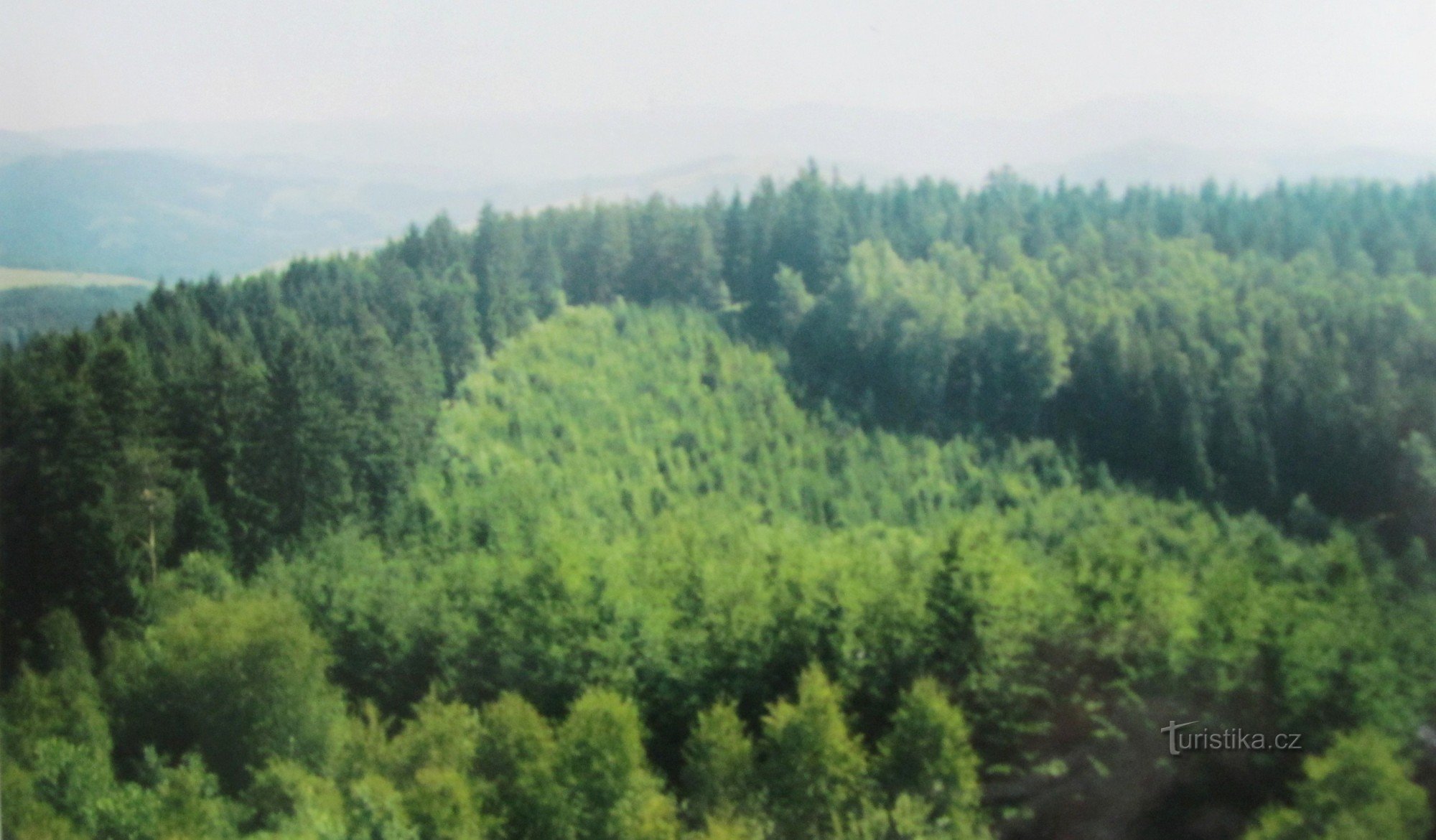 在 Čuba 的山上