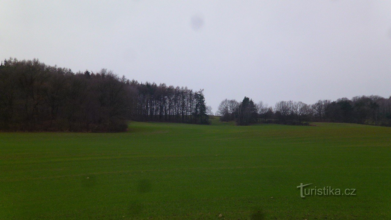 Na Dílech - view from the Brloh-Jankovice road