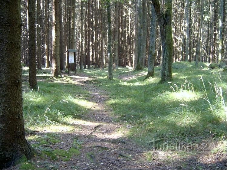 On Hájko: burial mound - general view