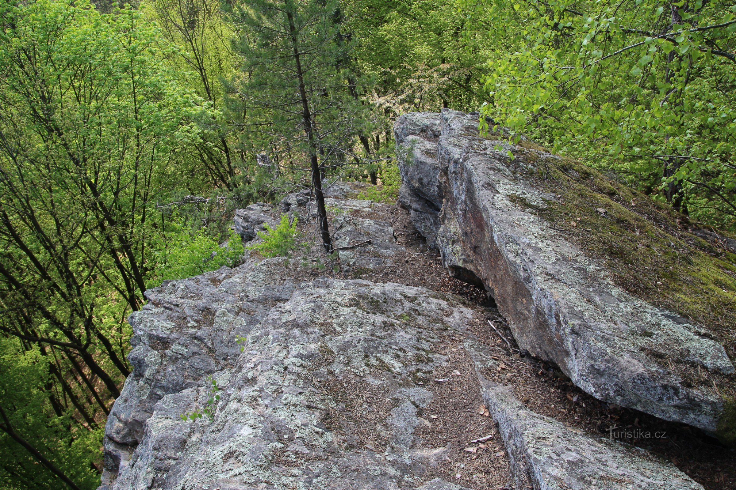 On the upper edge of the rock ridge