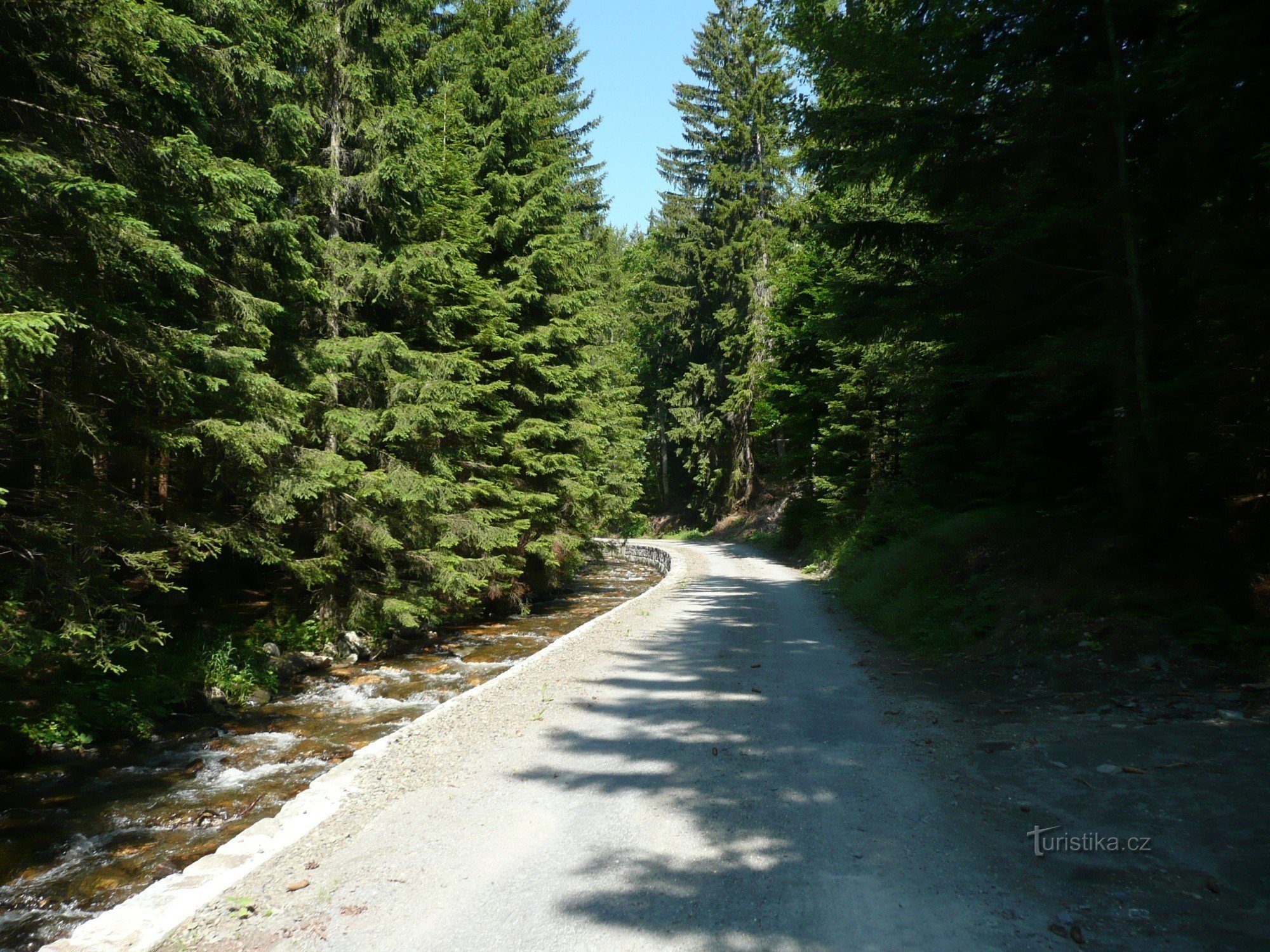 En VTT dans les montagnes Jeseníky