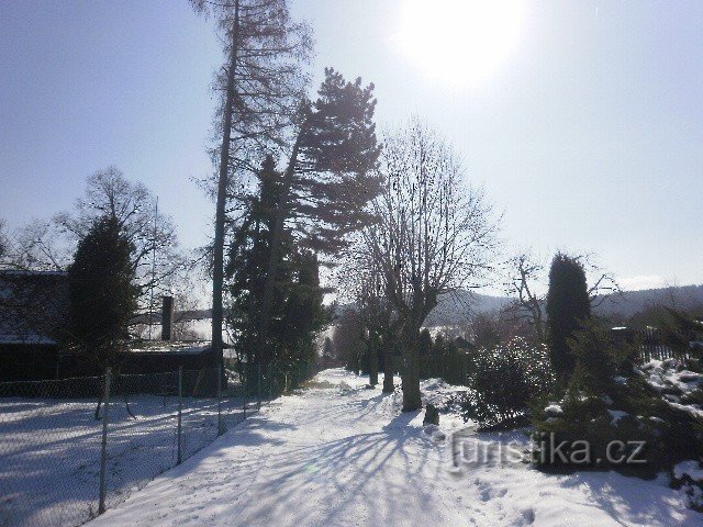 Na Hrazeny - the highest peak of the Šluknovská hill country