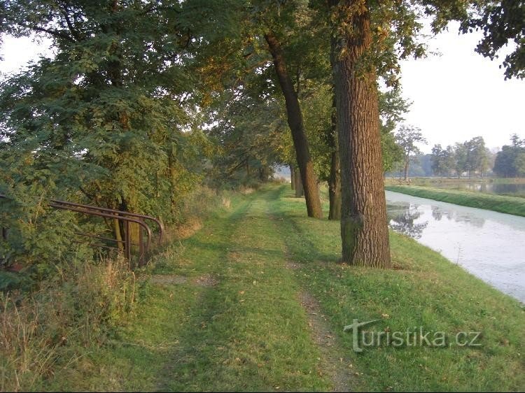 Op de oever van de Jesenický-vijver bij de loopbrug over de Odra naar de meanders