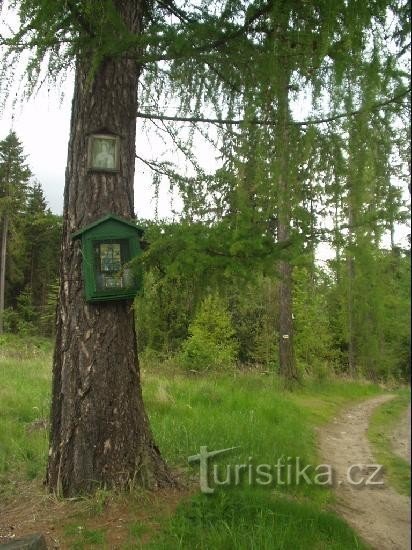 en el terraplén de Maršovce