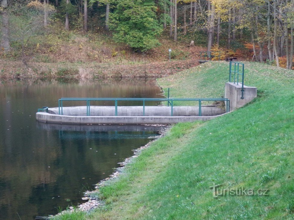 Op de dam van de vijver