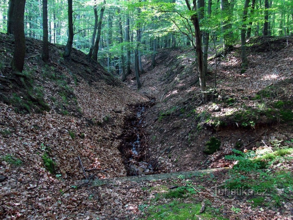 Sur la crête