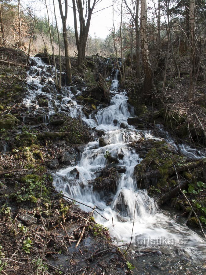 Vào mùa xuân, nhiều dòng chảy khác nhau từ Medvědí hora