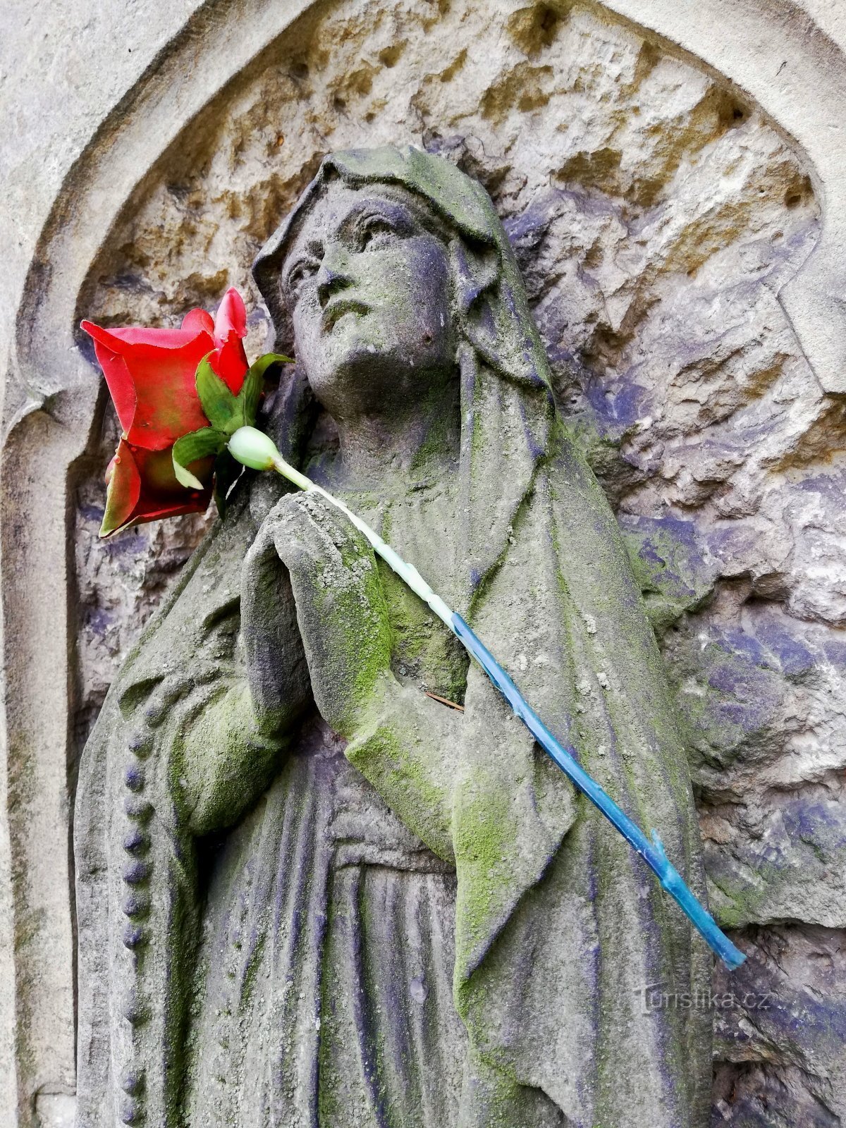 Une rose sur une seule tombe. Cimetière à Hylvaty, Ústí nad Orlicí.