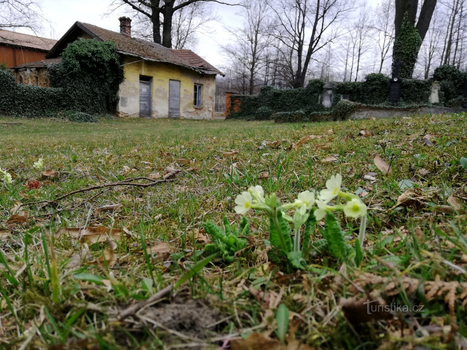 Vrtnica na enem samem grobu. Pokopališče v Hylváty, Ústí nad Orlicí.