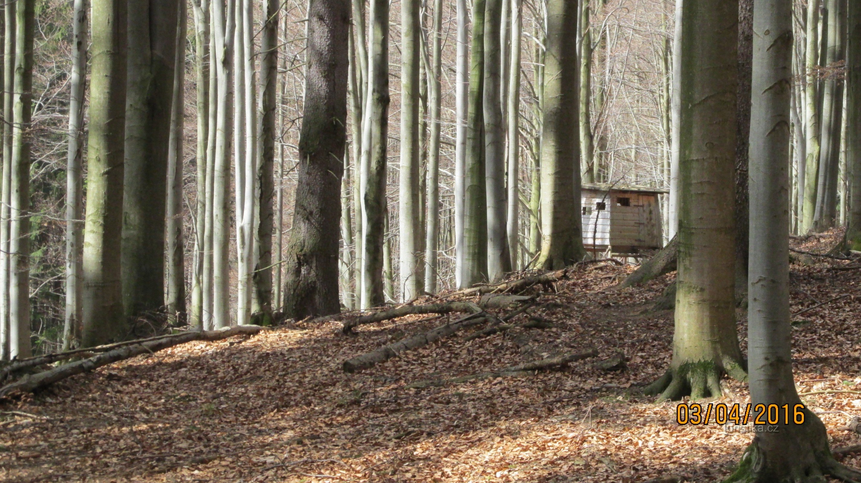 A la cabaña de Kolář en Slavíč