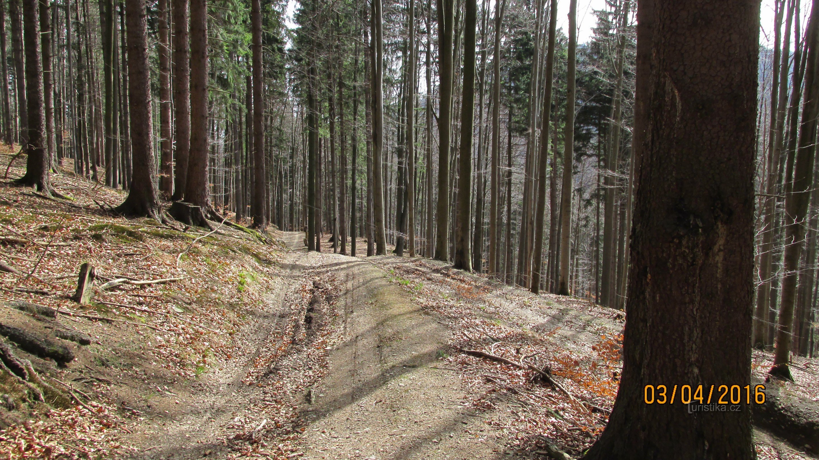 A la cabaña de Kolář en Slavíč