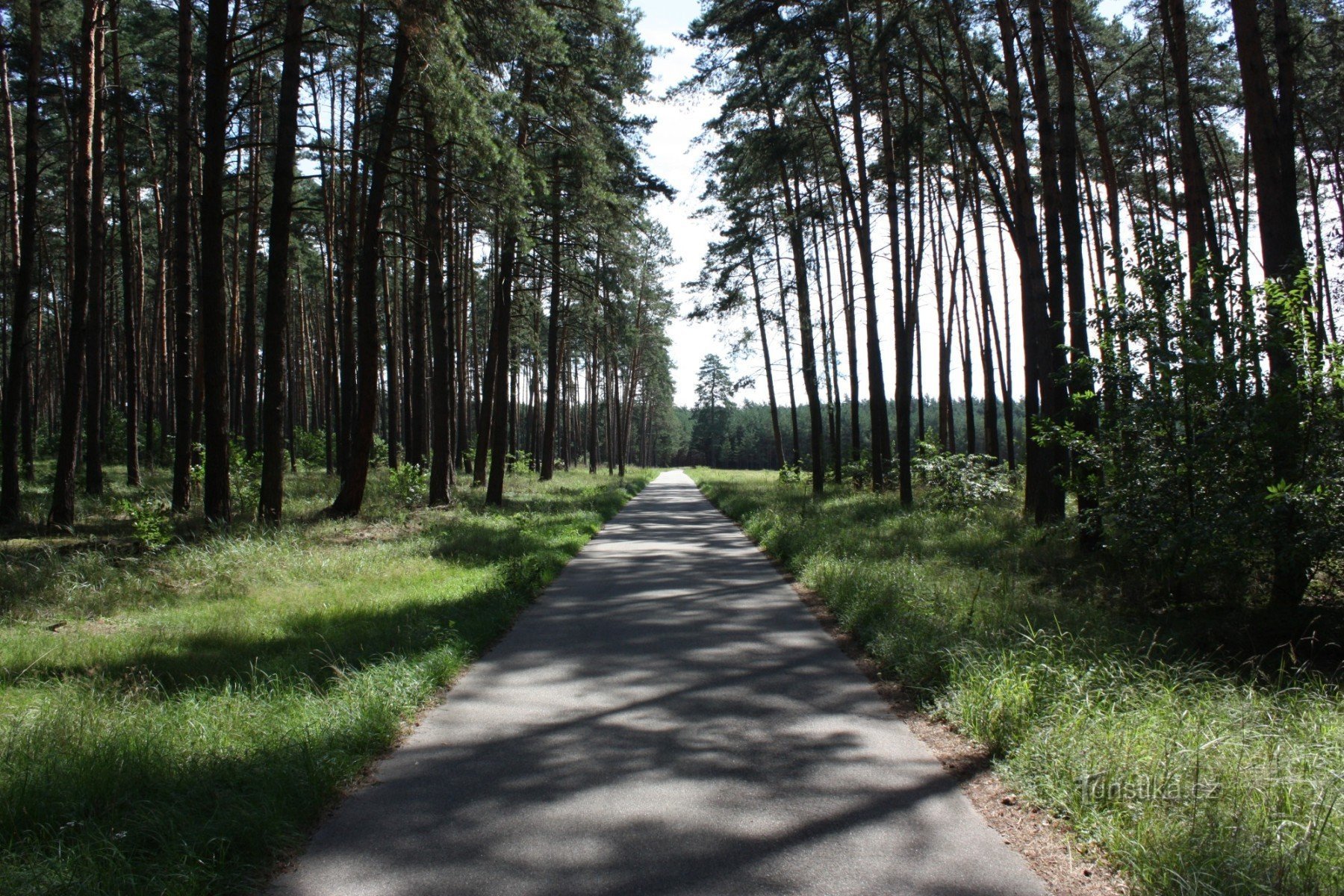 Na bicicleta Bzenecká Doubrava