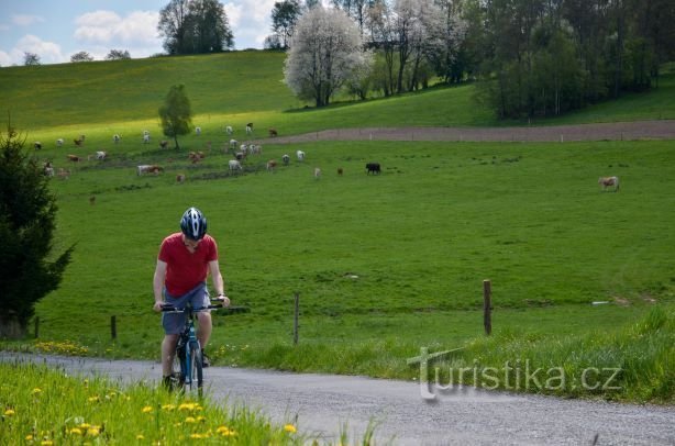 By bike to Prčice