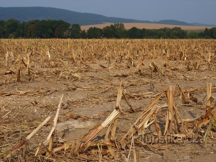 Rowerem do górnego zbiornika przepompowni Dlouhé Stráně