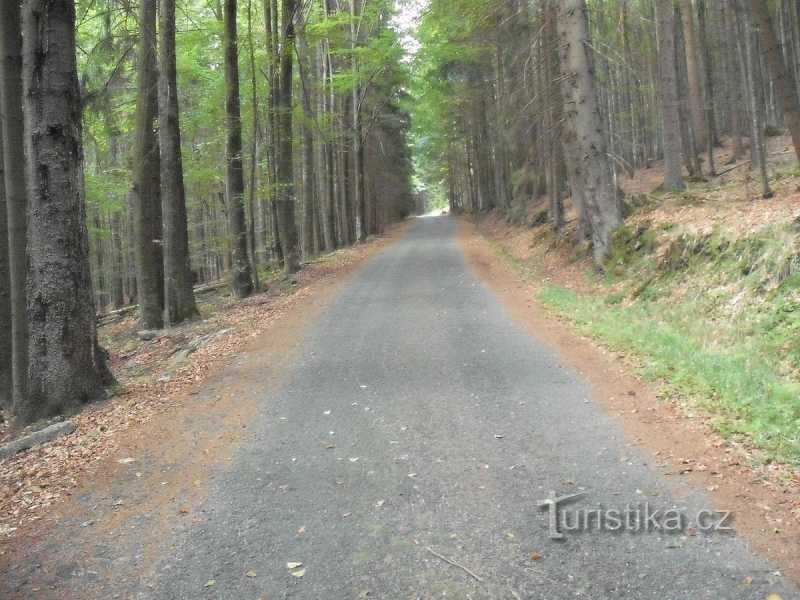 A vélo jusqu'à Plešné jezero