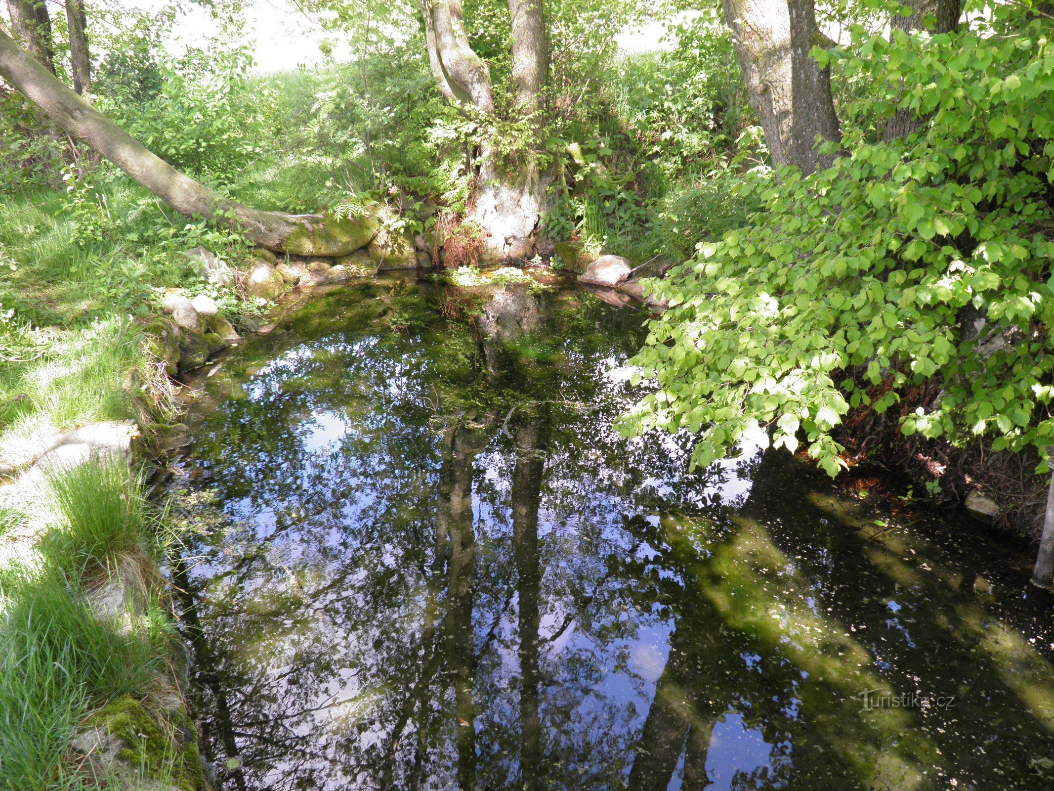 A vélo jusqu'à la source de la rivière Jihlava