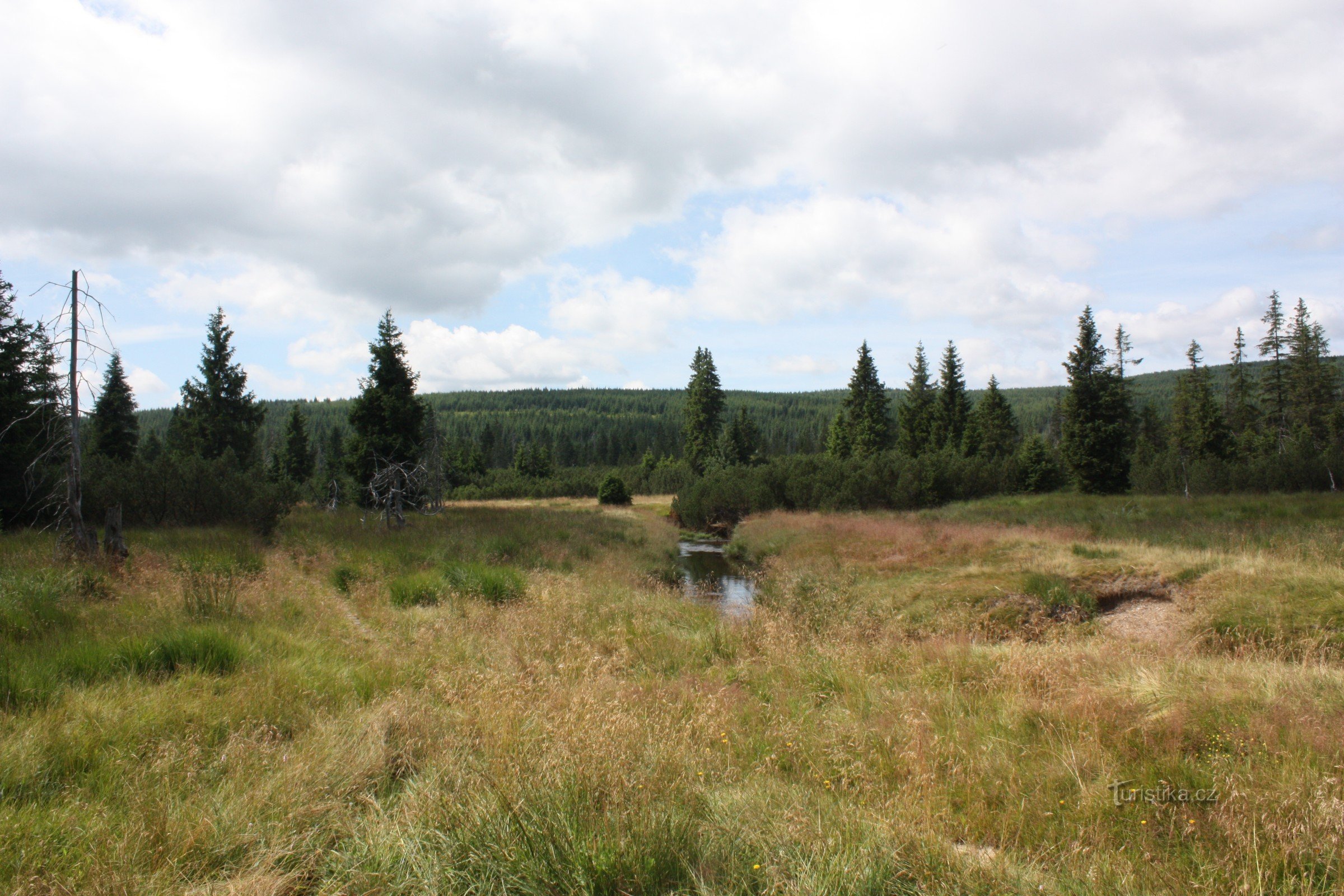 S kolesom do šotnega barja nad naseljem Jizerka