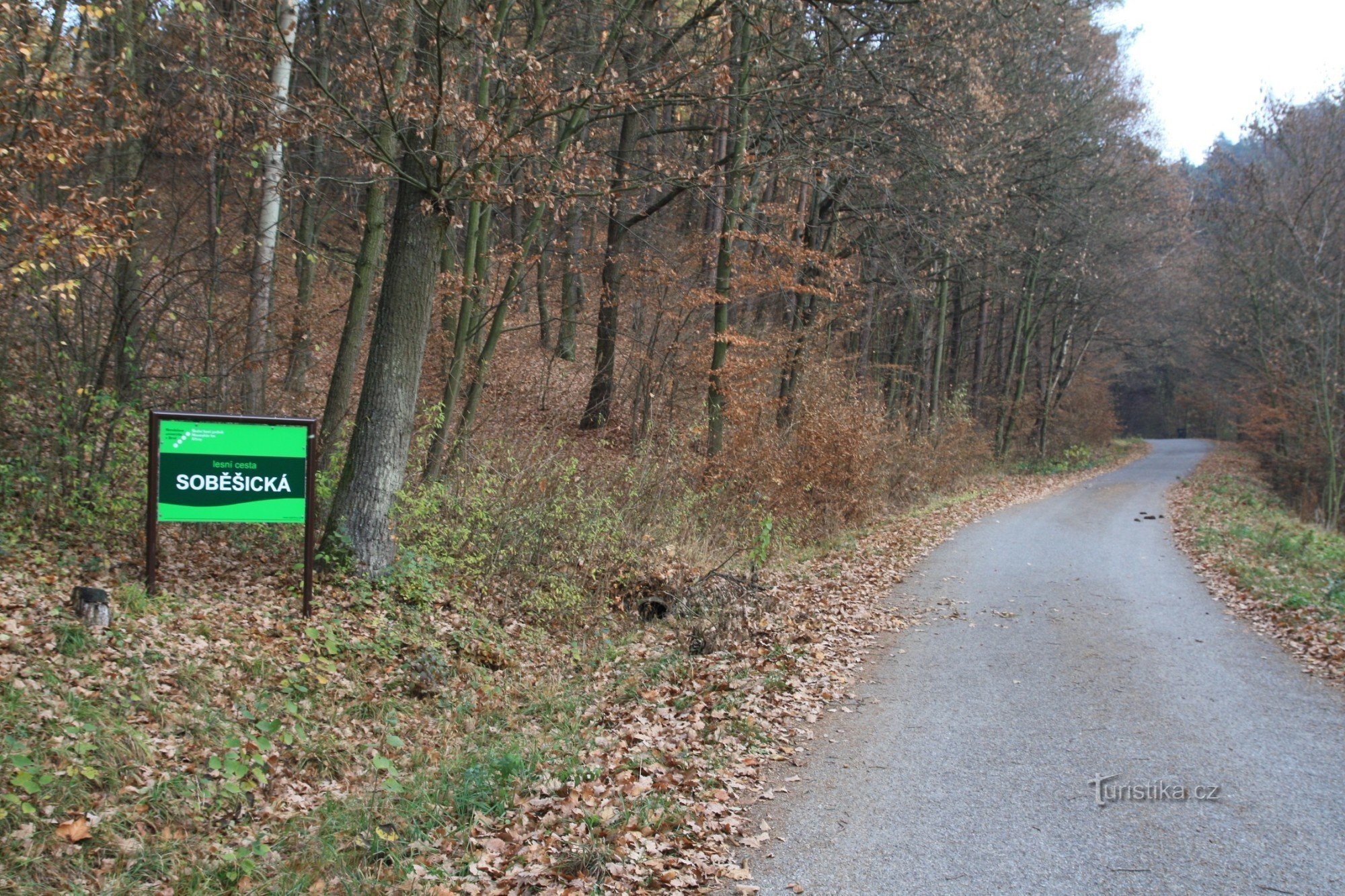 Το Soběšická cesta ξεκινά στο τέλος του χωριού στην αρχή του δάσους