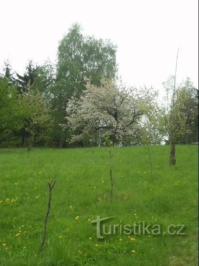 Auf den Ausgrabungen