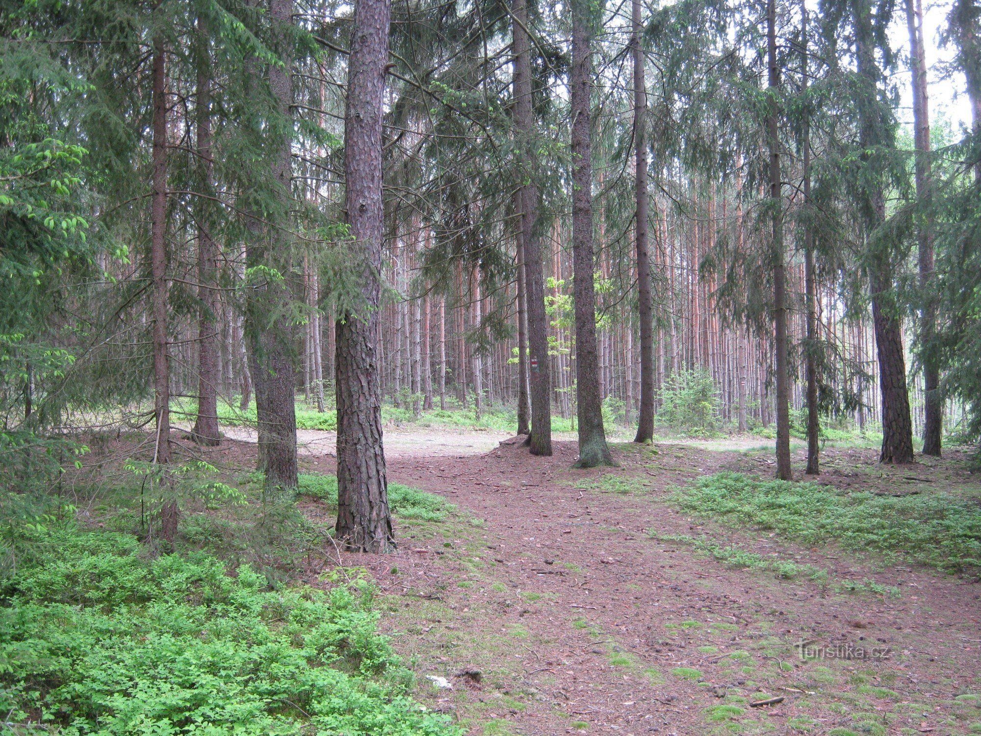 На перехресті праворуч