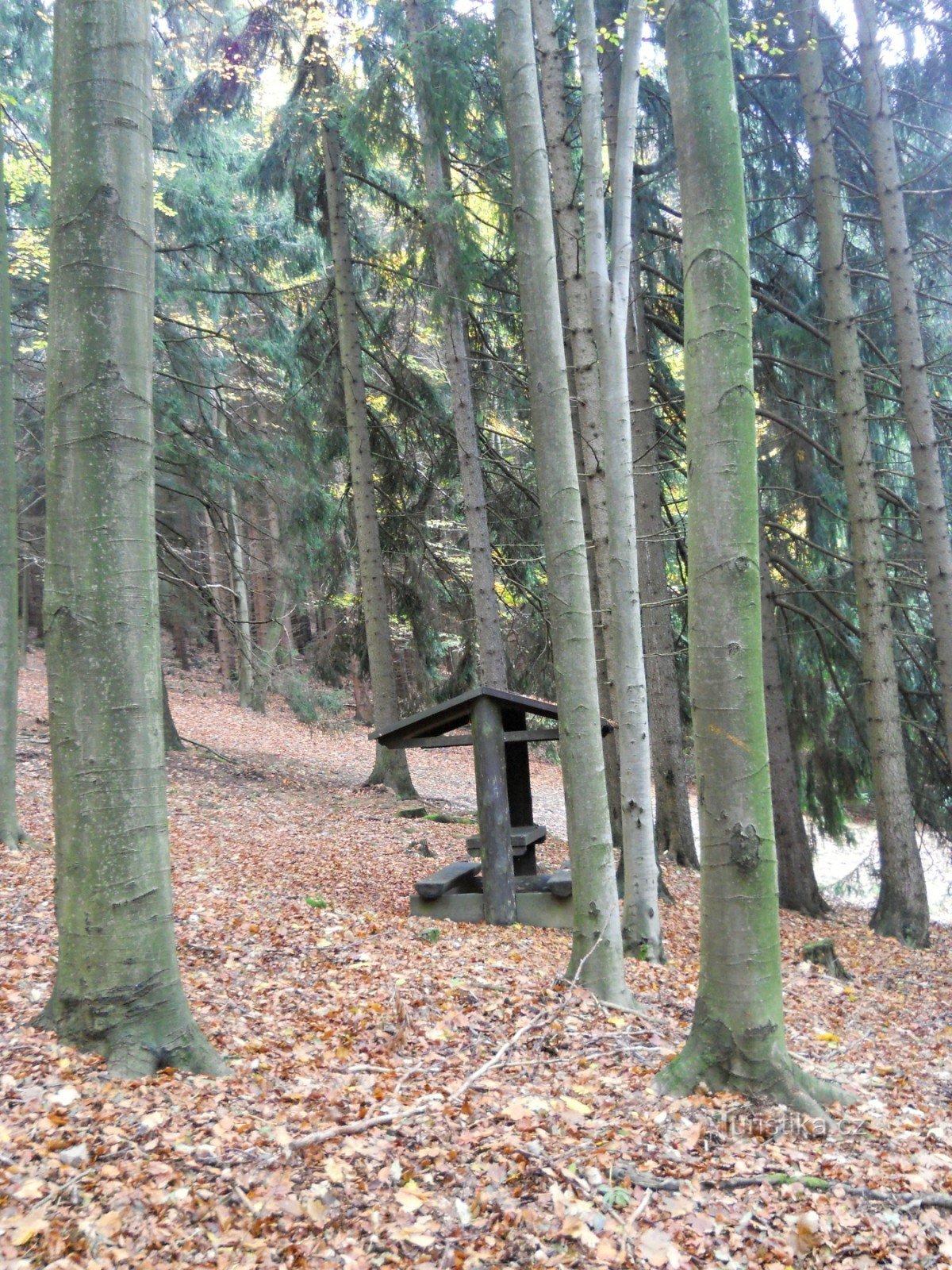 Na križišču rumene in kolesarske poti