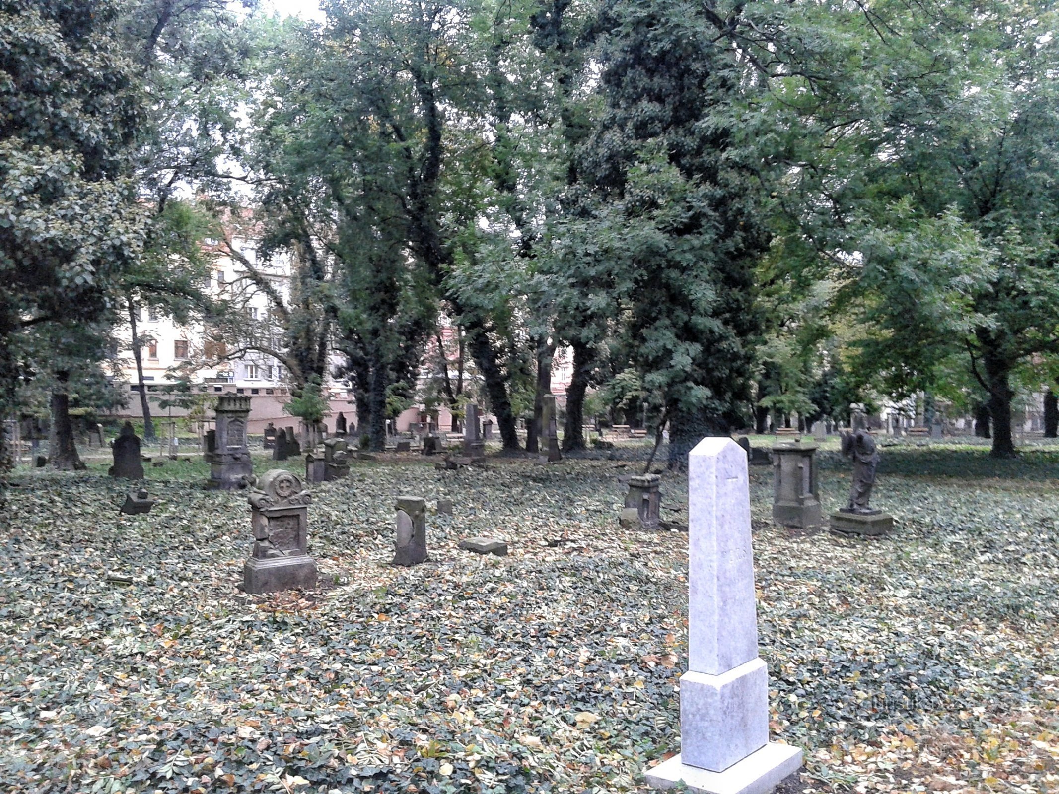 Op de begraafplaats Malostranské