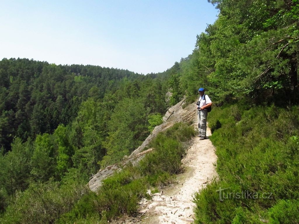 Sur Martinské stěny