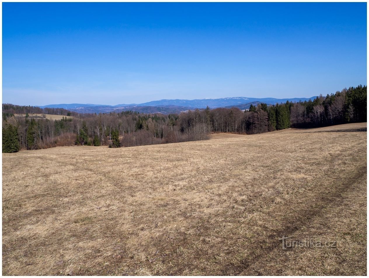 On the highland meadows around Horní Studenék