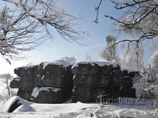 Zum höchsten Tafelberg Tschechiens hinter dem Aussichtsturm Sněžník