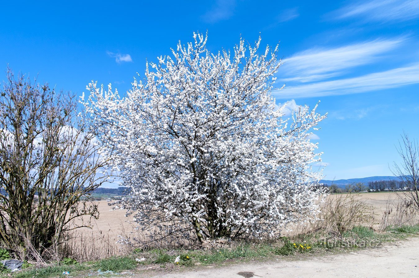 Sur Novodvorské mezi