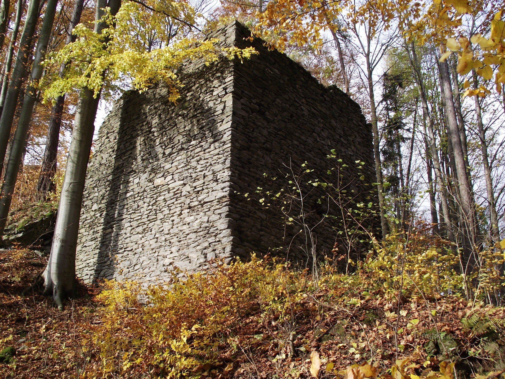 Nach Nový Hrad oder die Reize der herbstlichen Ruinen (Lužná – Nový Hrad – Bohdíkov)