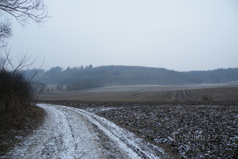 Am Horizont der Kamm von Baby von Mozovského potok