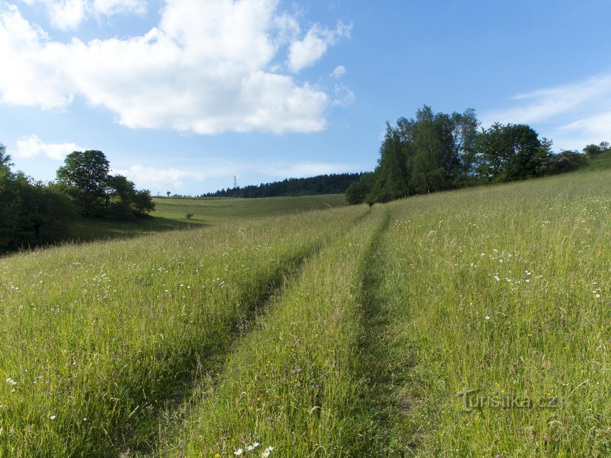 On the horizon, the transmitter on Smrka