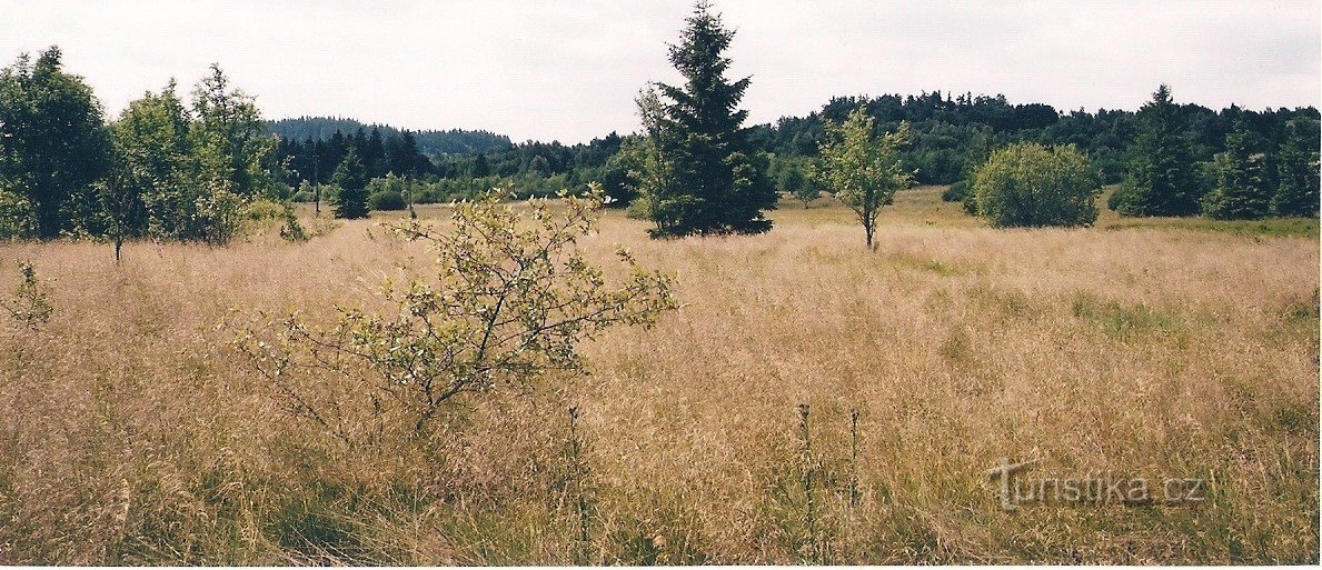 Na Oklice - naturreservat