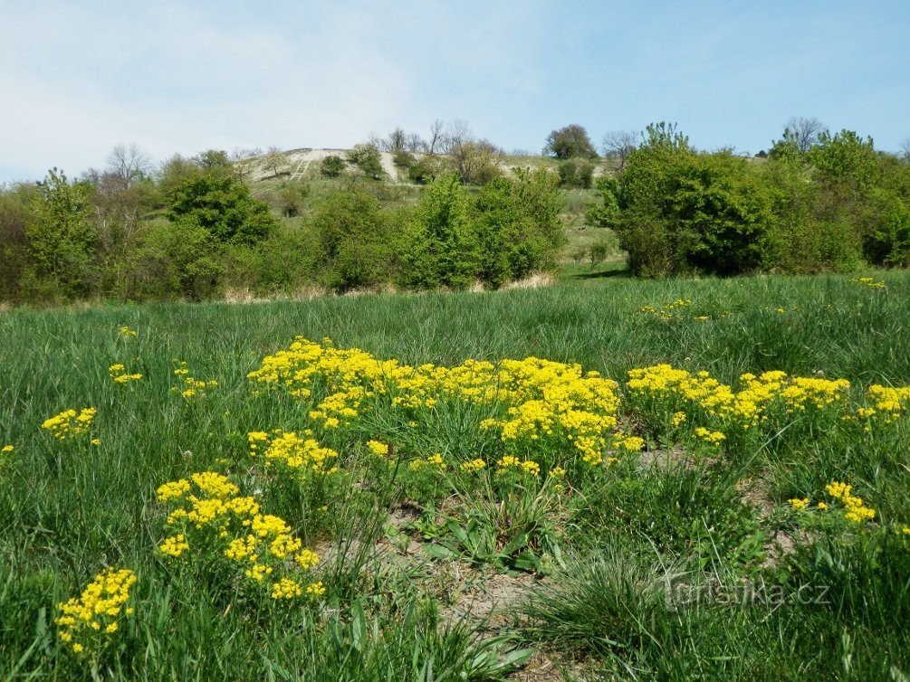 En bordure d'un monument naturel