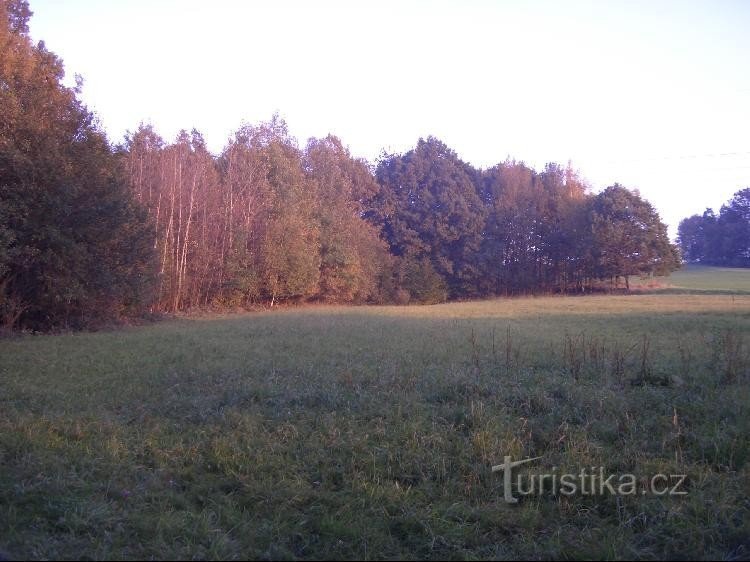 en bordure de la réserve