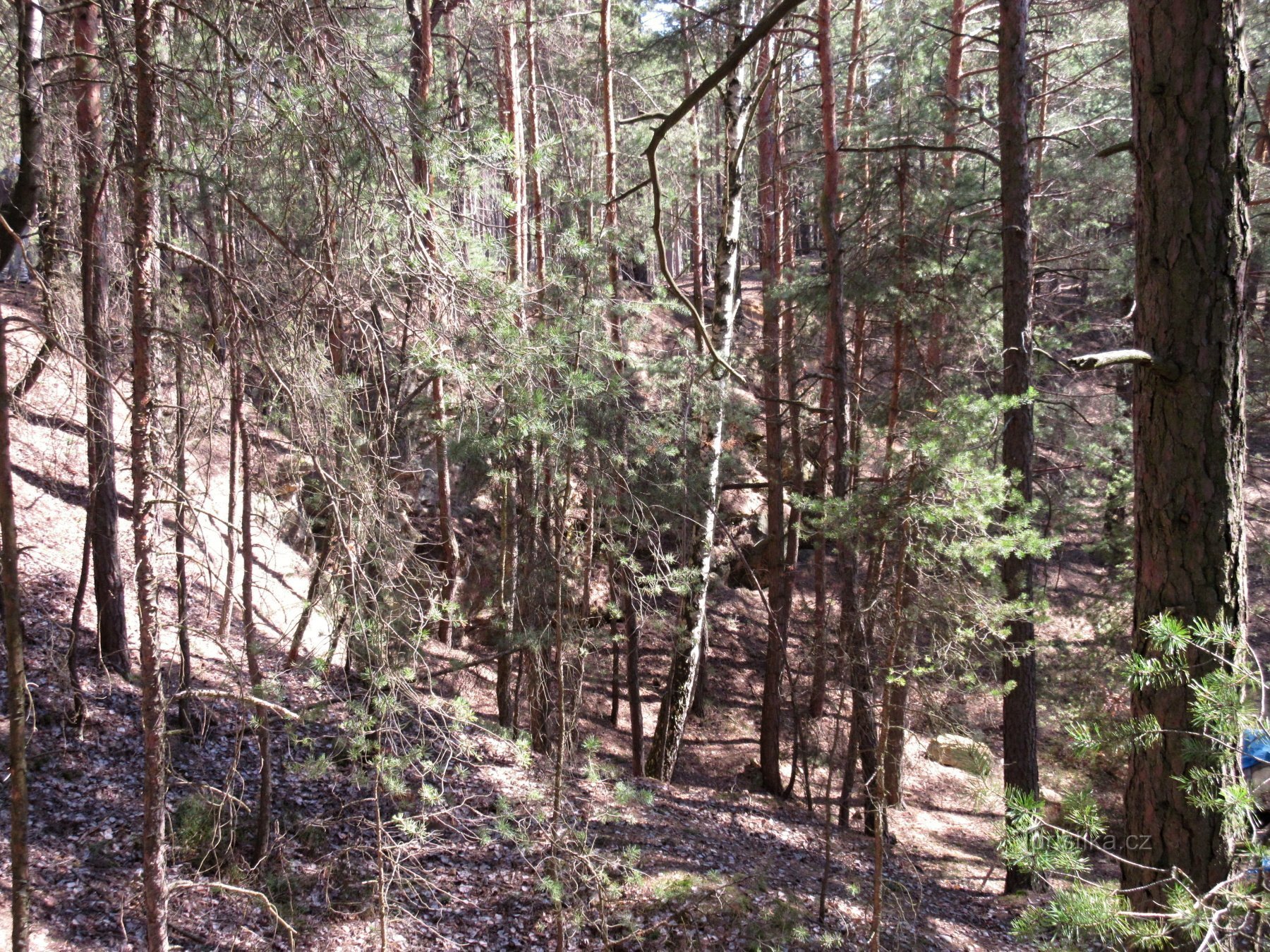 Auf Orlík - leider sind die Felsen nicht sichtbar. Du musst sie erraten.