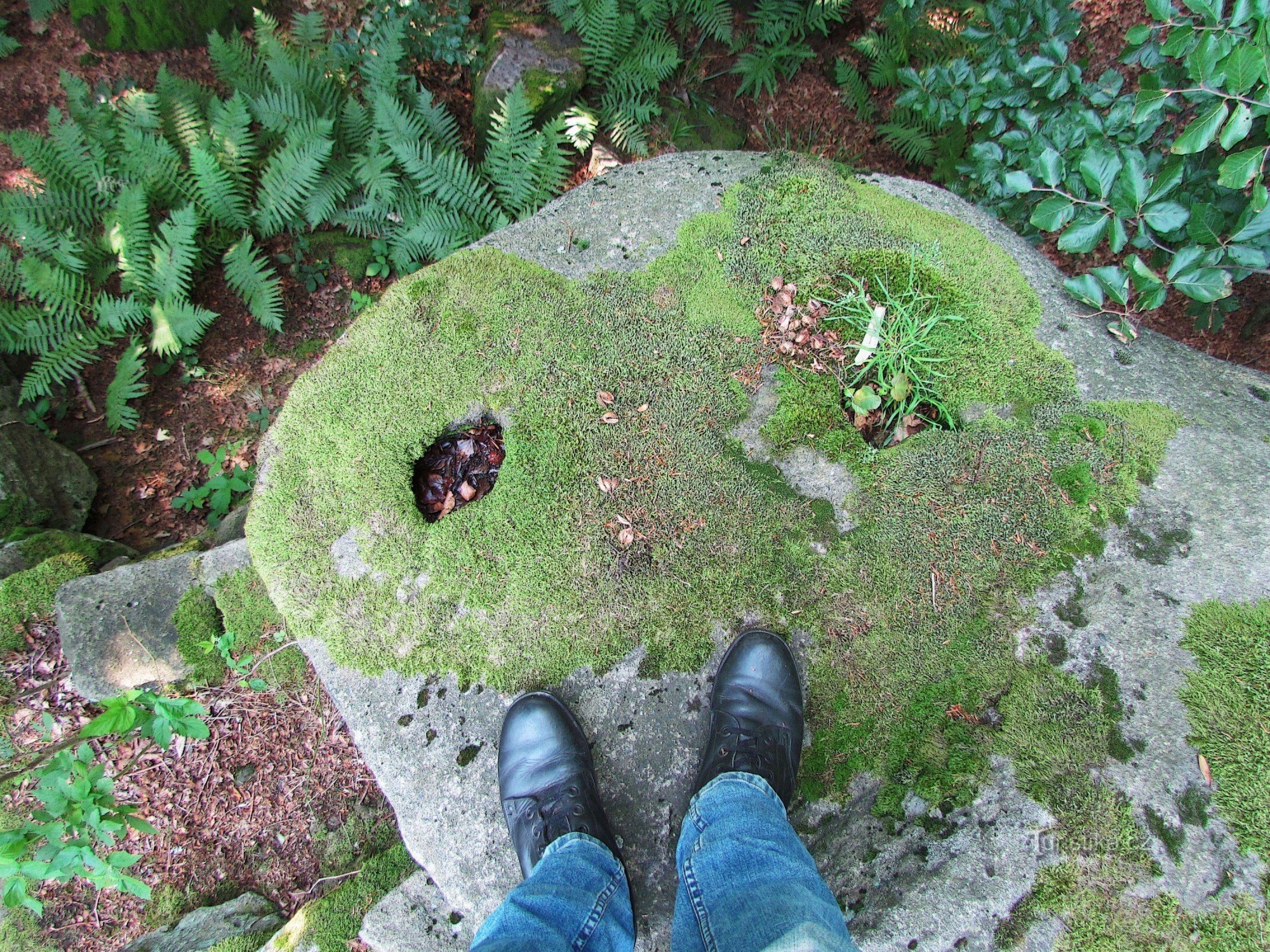 Auf die Insel der Ruhe, zu den Sochová-Felsen in den Hostýnské-Bergen