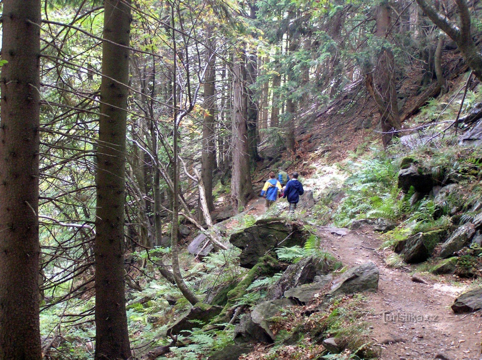 sur le sentier dans la partie basse de Divoké dol