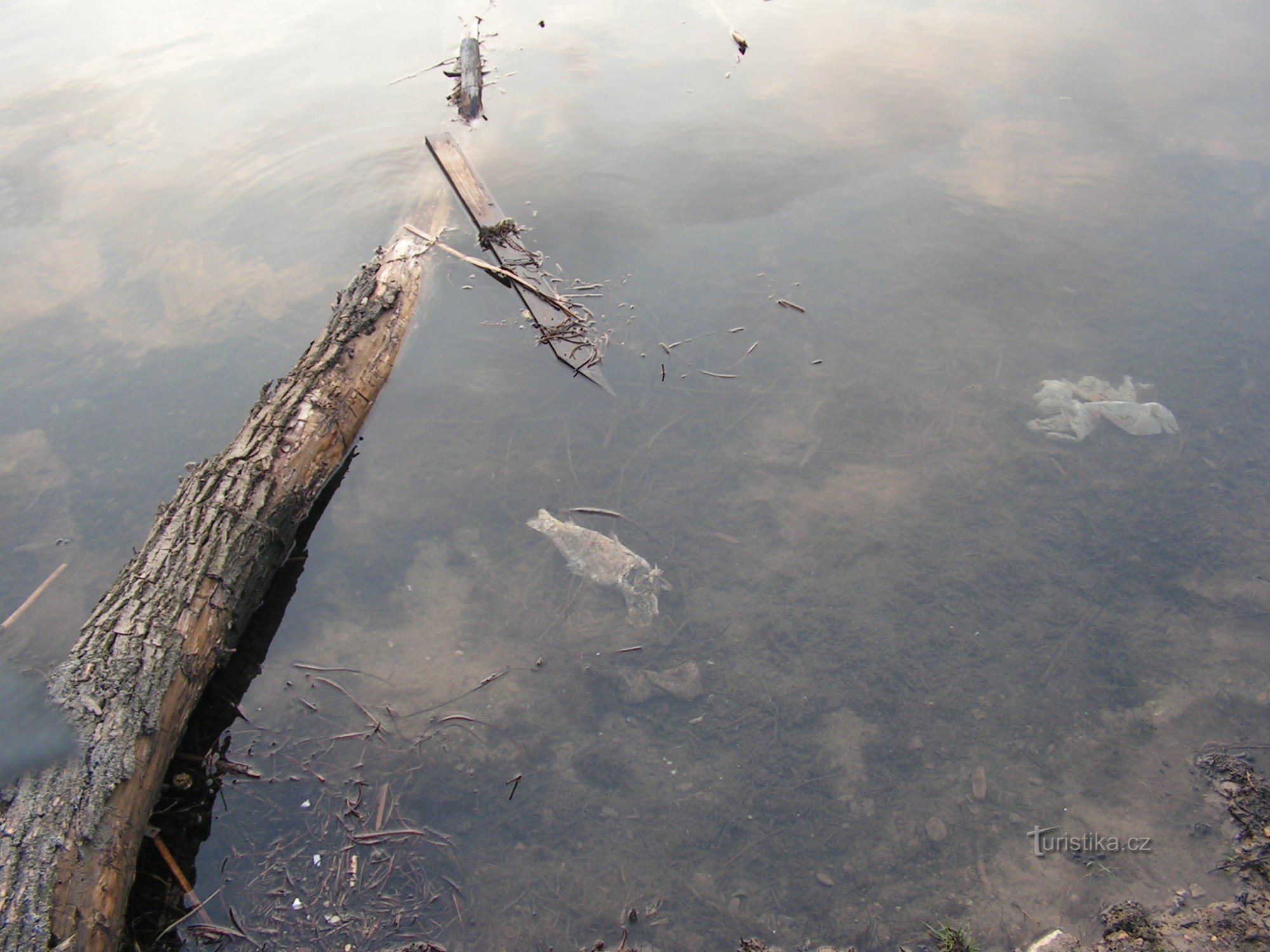 Ik laat niet eens een hond in het water in Poděbrady