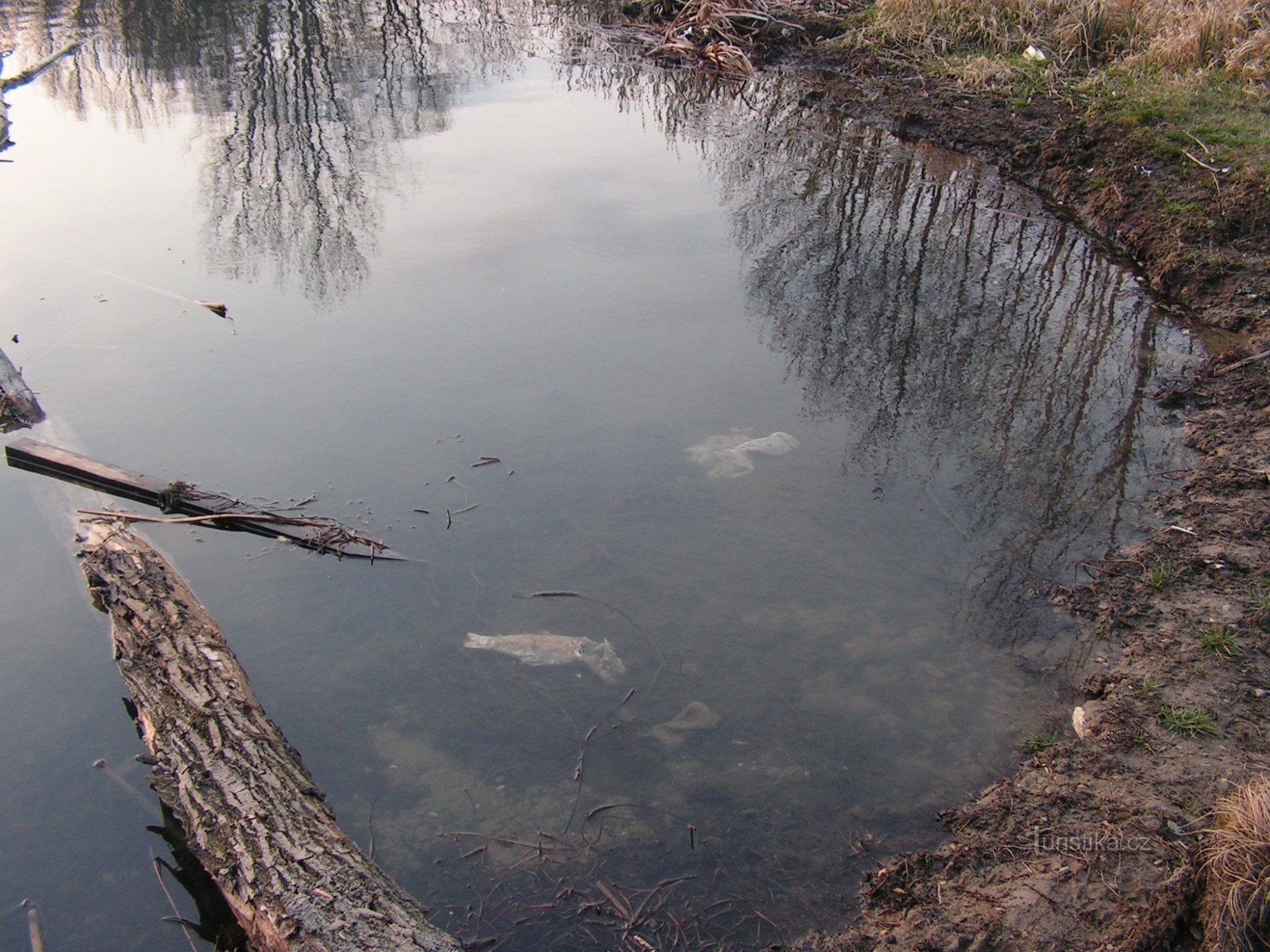 Ik laat niet eens een hond in het water in Poděbrady