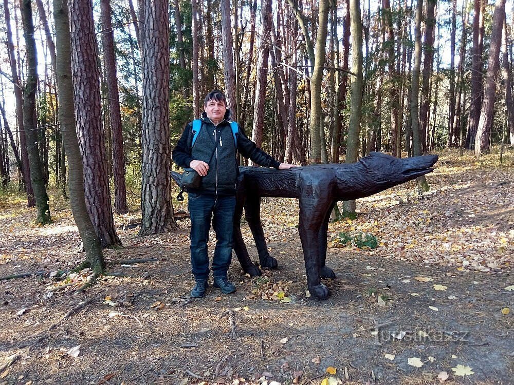 On a tour of the Pivečko forest park